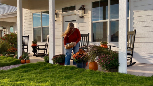 Decorating the porch for fall with pumpkins and chrysanthemums.
