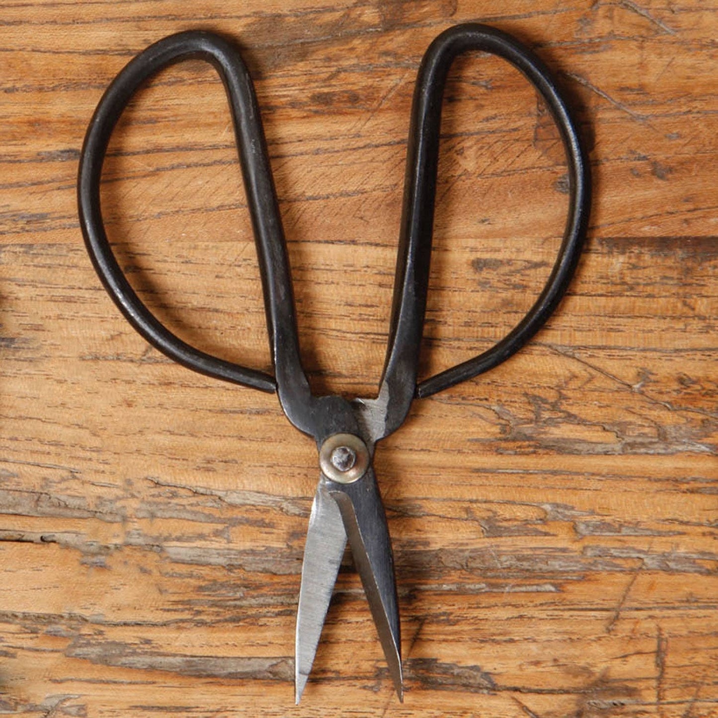 Forged Iron Utility Shears – Small – Natural Finish