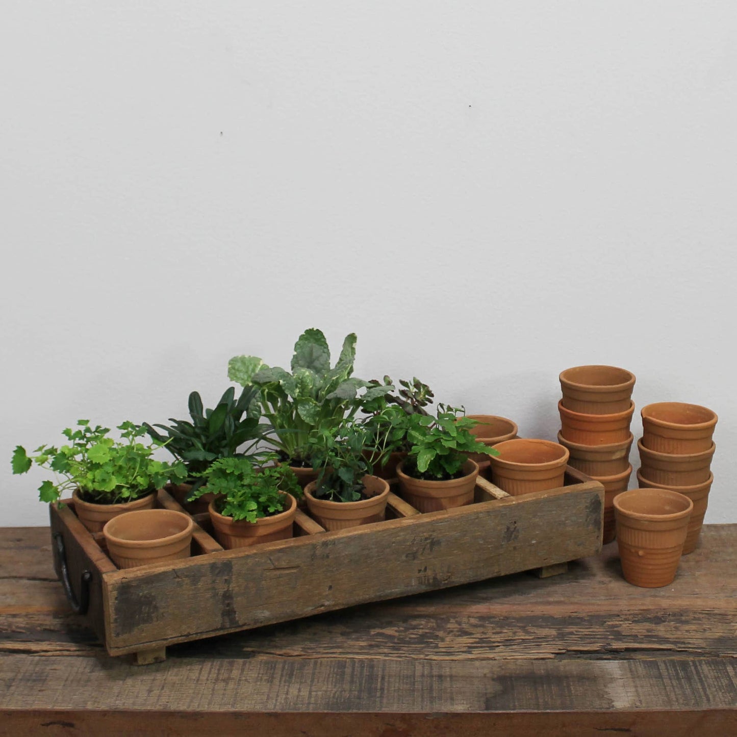 Campo Wood Caddy with 10 Clay Cups